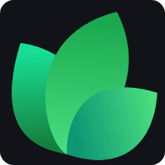 Mintlify tool